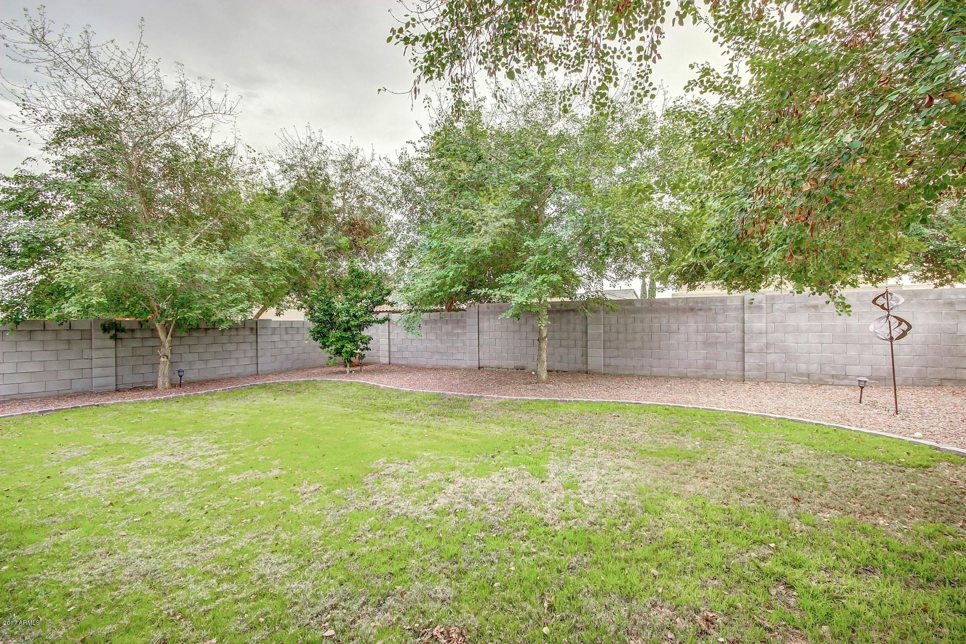 18263 West Hatcher Road Waddell, AZ 85355 - Photo 30 of 32 Backyard2-Hatcher (5)