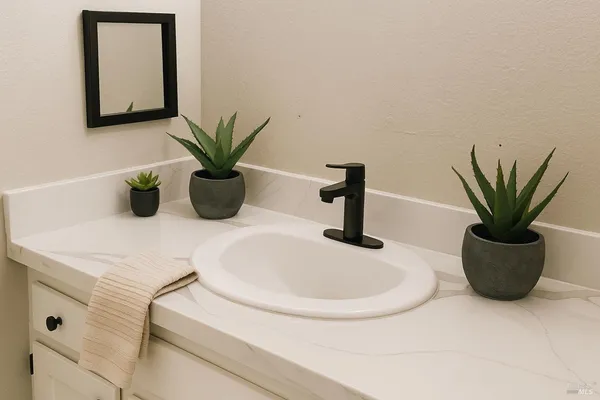 a bathroom with a potted plant