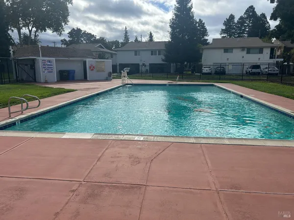 a view of a park with large trees