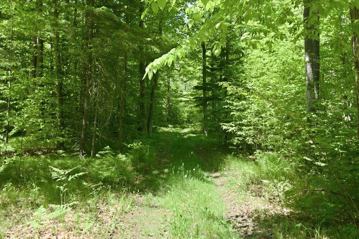 14754 North McComb Lake Road Mountain, WI 54149 - Photo 57 of 82
