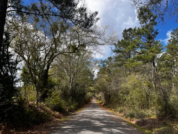 $299,000 | Xx Cawthon Road, Laurel Hill, FL 32567