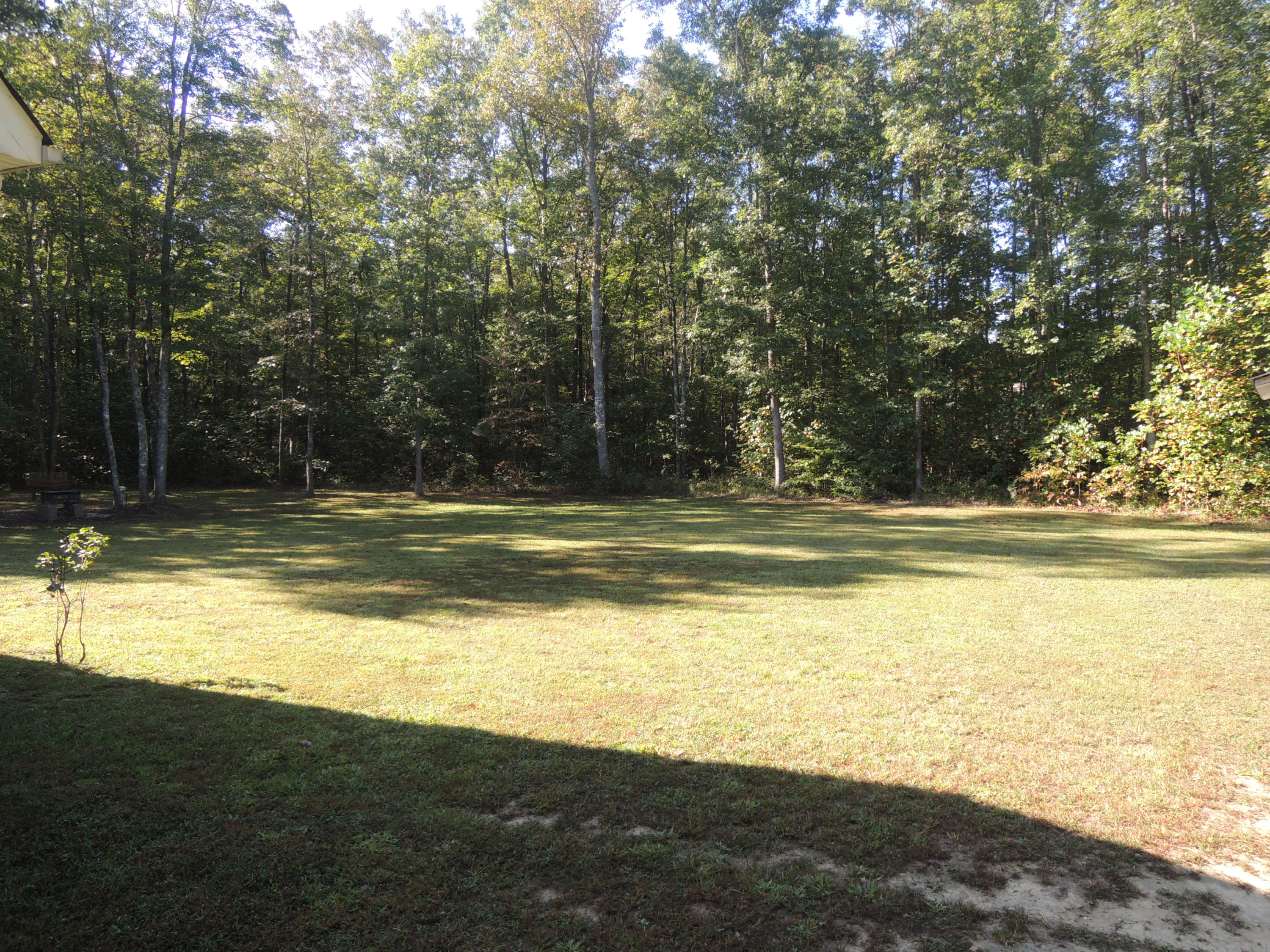 651 Robs Road Grimsley, TN 38565 - Photo 8 of 36 Davis (1)