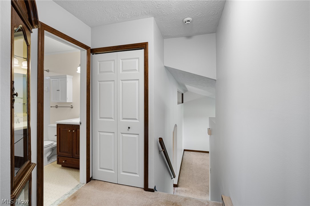 10614 Jones Road Litchfield, OH 44253 - Photo 15 of 50