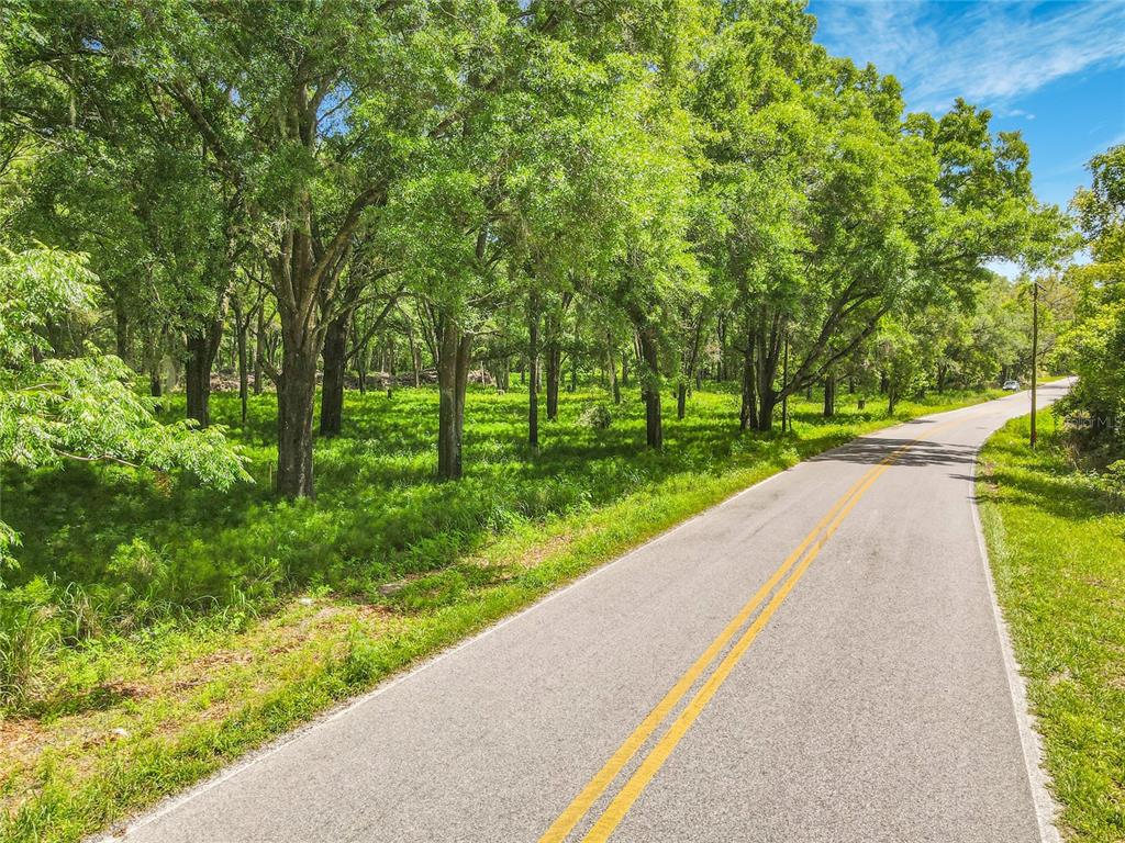 164 Denver Road Crescent City, FL 32112 - Photo 3 of 11