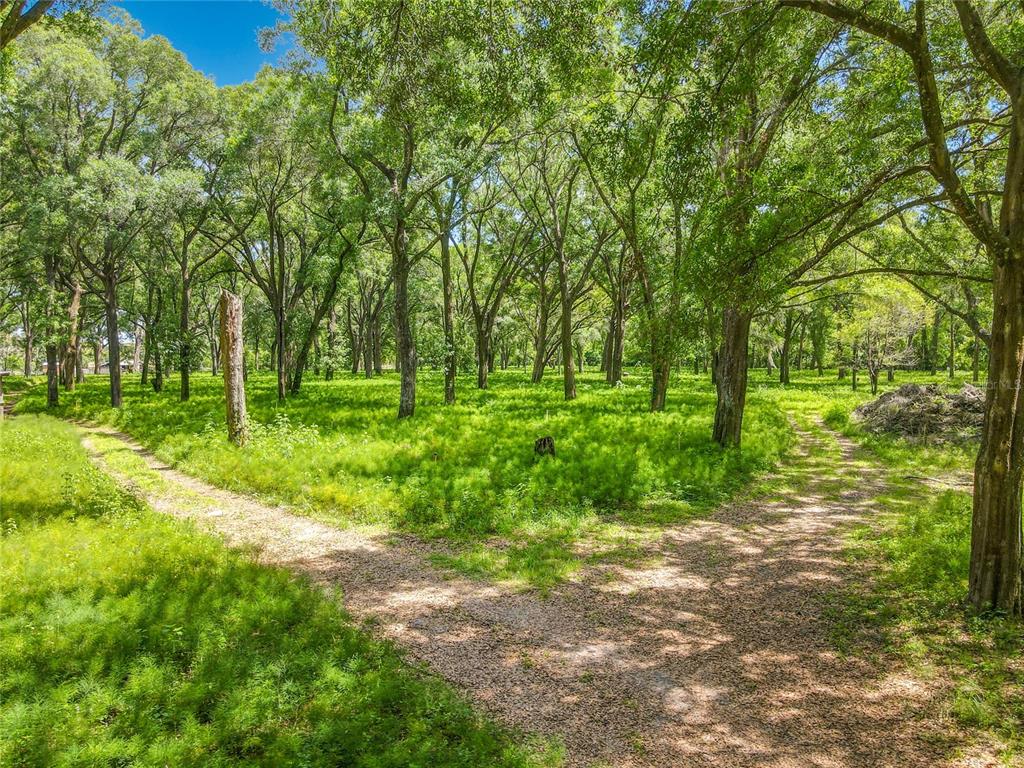 164 Denver Road Crescent City, FL 32112 - Photo 6 of 11