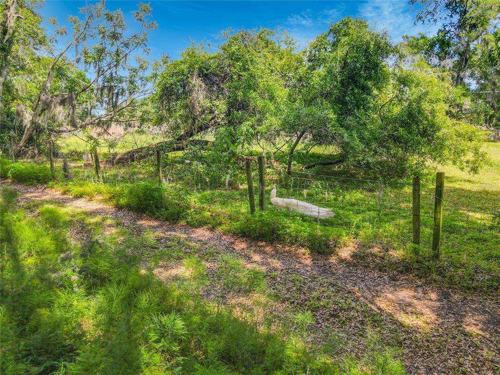 164 Denver Road Crescent City, FL 32112 - Photo 7 of 11