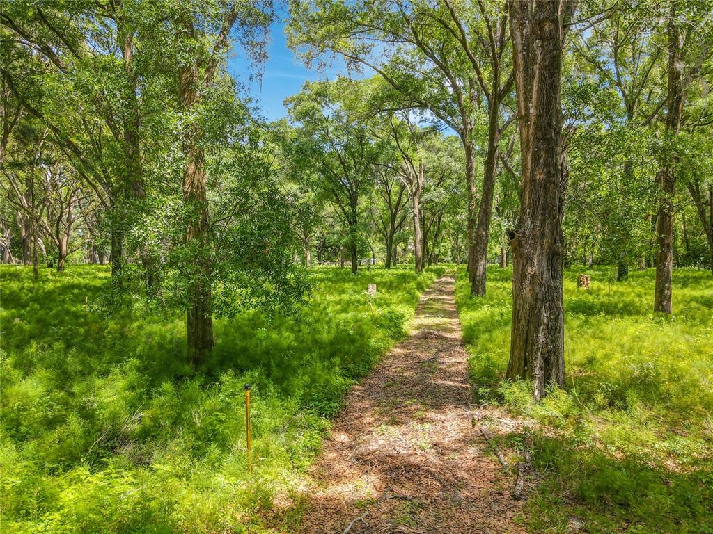 164 Denver Road Crescent City, FL 32112 - Photo 8 of 11