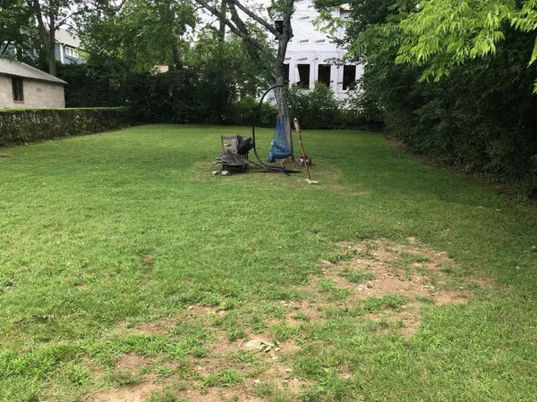 a view of a tree in front of a house