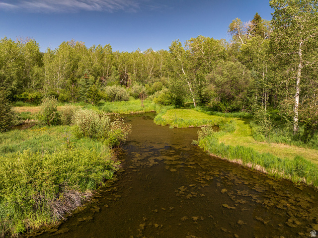 5958 Bull Moose Road Kamas, UT 84036 - Photo 6 of 25 Natural water feature with surrounding lush green vegetation