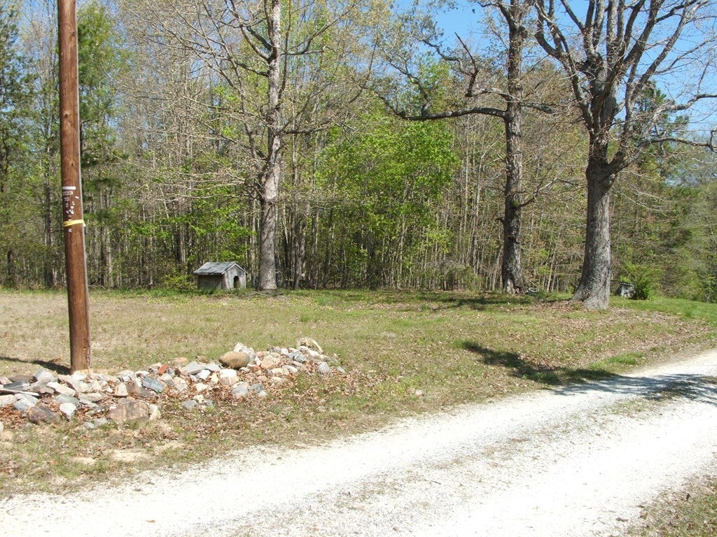495 Newtown Road Randolph, VA 23962 - Photo 15 of 19 Gallery Image 15