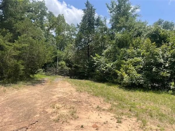 a view of a yard with a tree