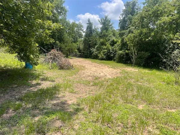 a view of yard with green space