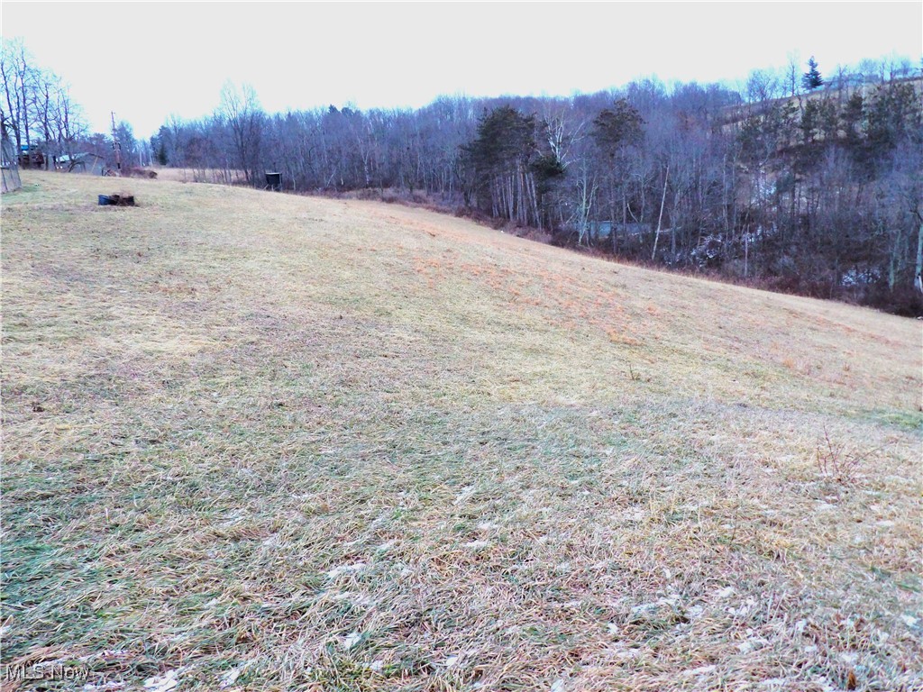 50877 Moore Ridge Road Jerusalem, OH 43747 - Photo 2 of 49