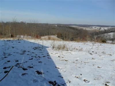 2384 Locust Grove Road Carlisle, KY 40311 - Photo 21 of 25 Photo 21