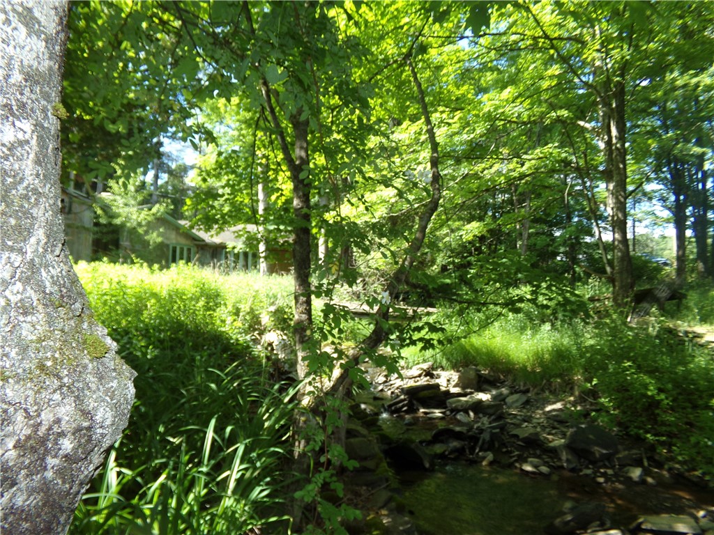 293 Lockwood Hill Road Mount Upton, NY 13809 - Photo 5 of 17