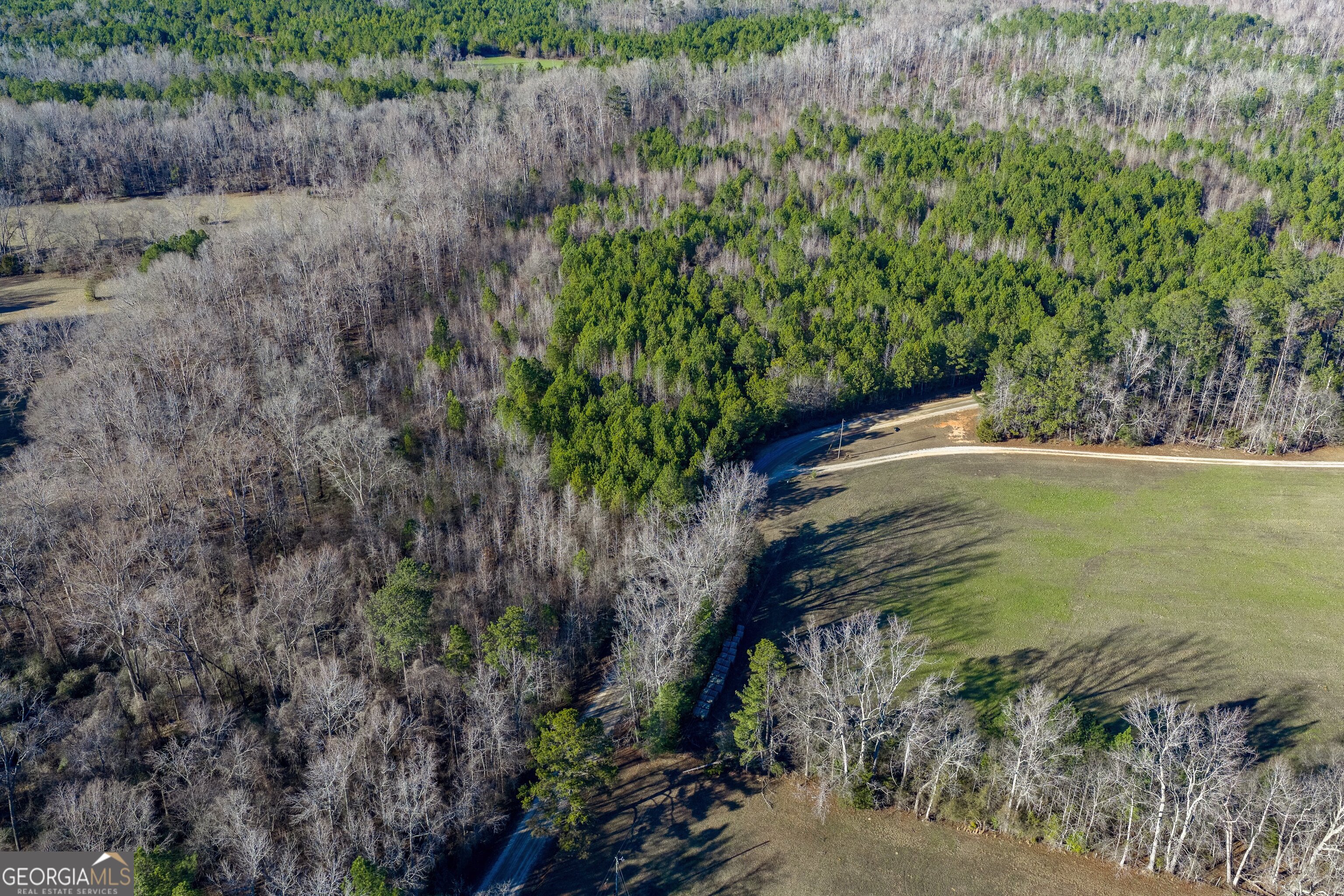 L-4 Dunbar School Road Williamson, GA 30292 - Photo 15 of 17