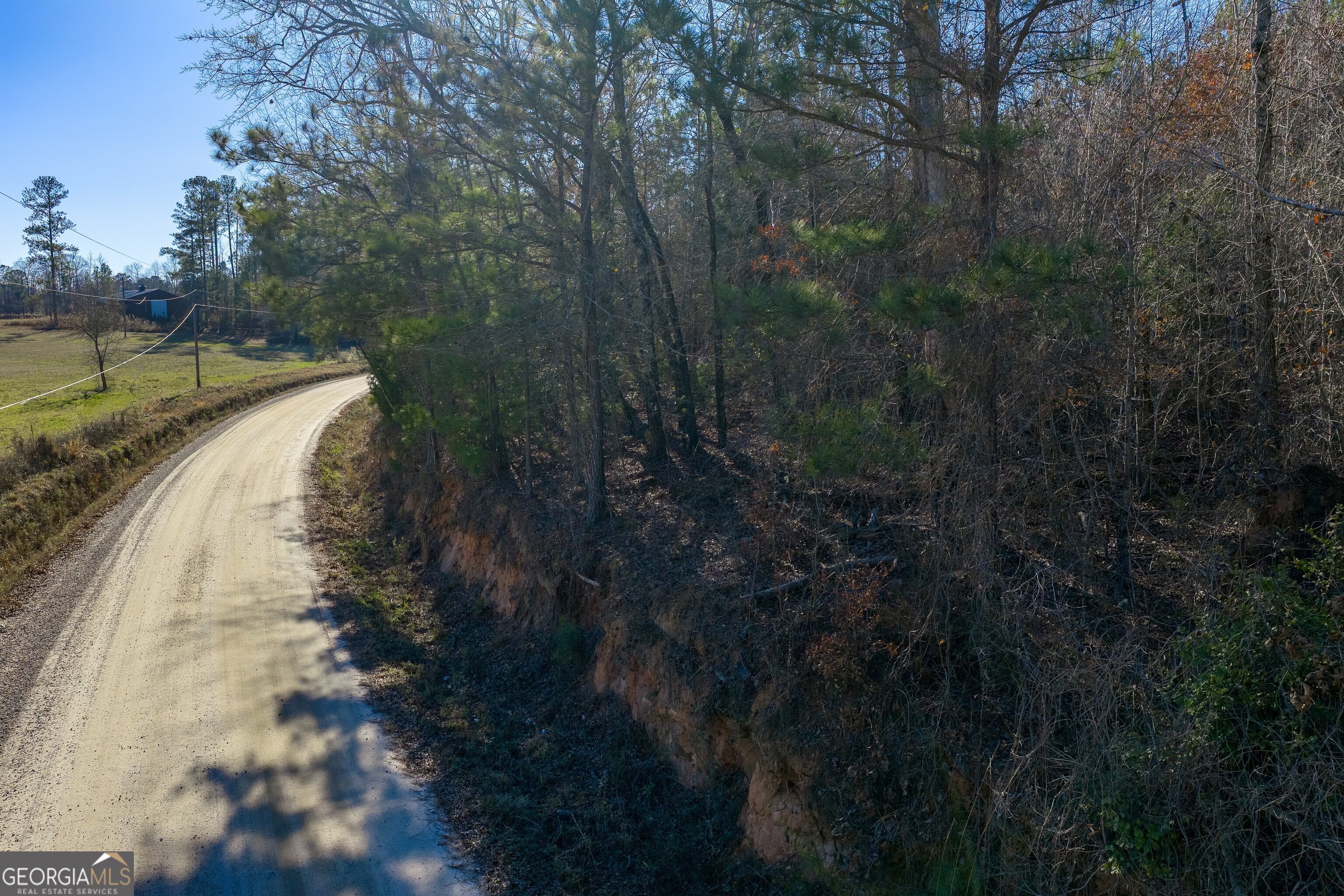 L-4 Dunbar School Road Williamson, GA 30292 - Photo 5 of 17