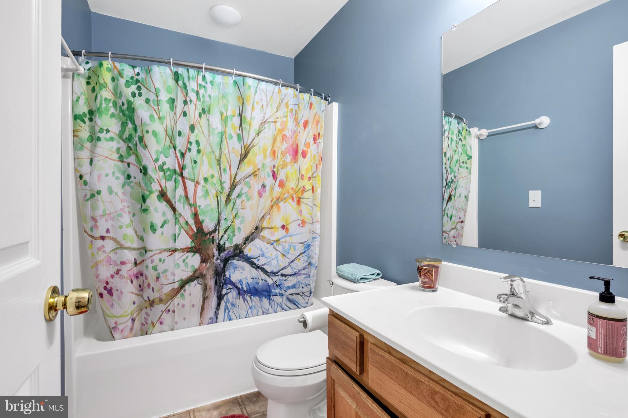 69 Aspen Road Harpers Ferry, WV 25425 - Photo 21 of 47 Upper Level Full Bathroom