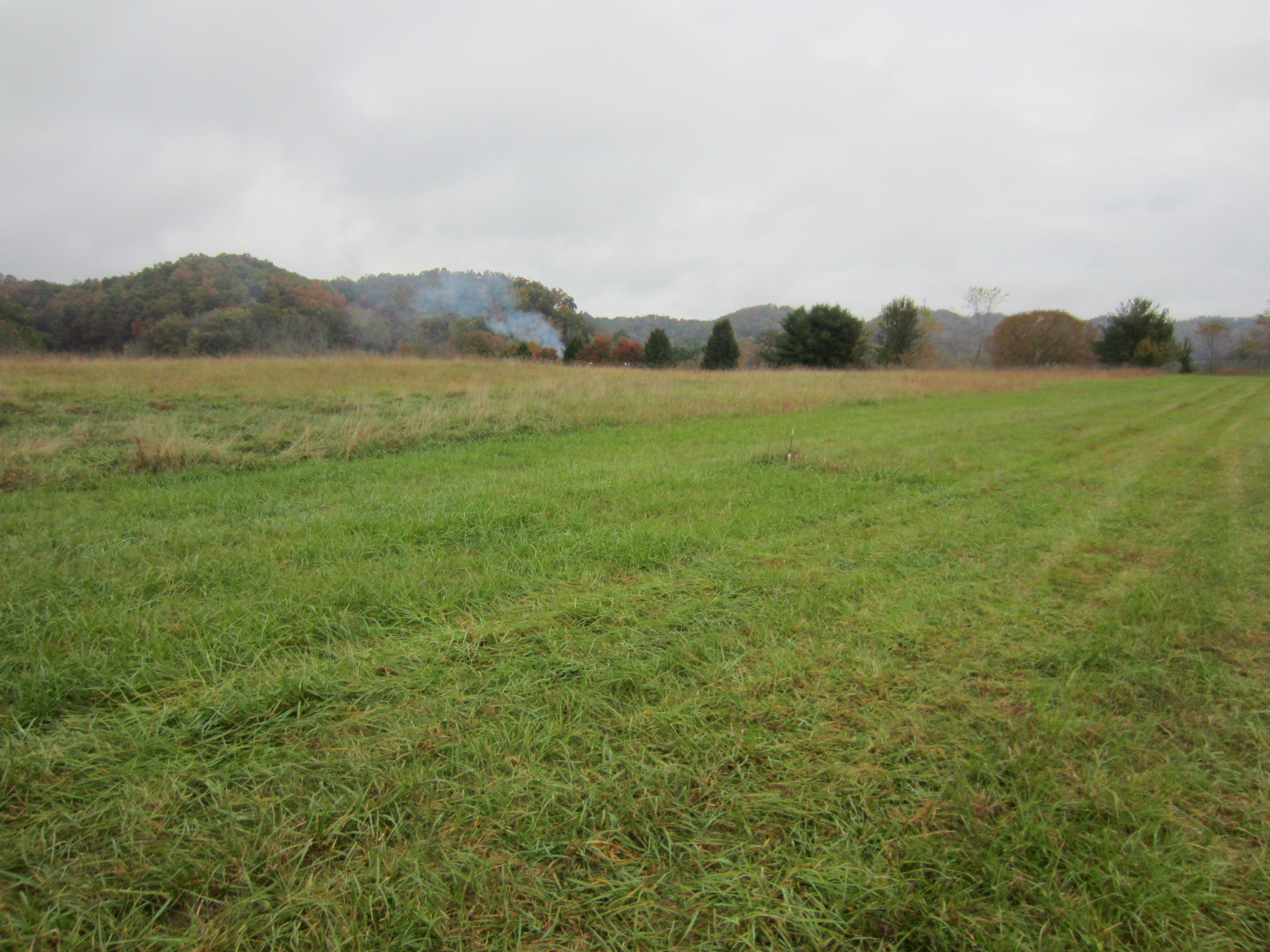 Tbd Buncombe Road Blountville, TN 37617 - Photo 1 of 1 IMG_3028