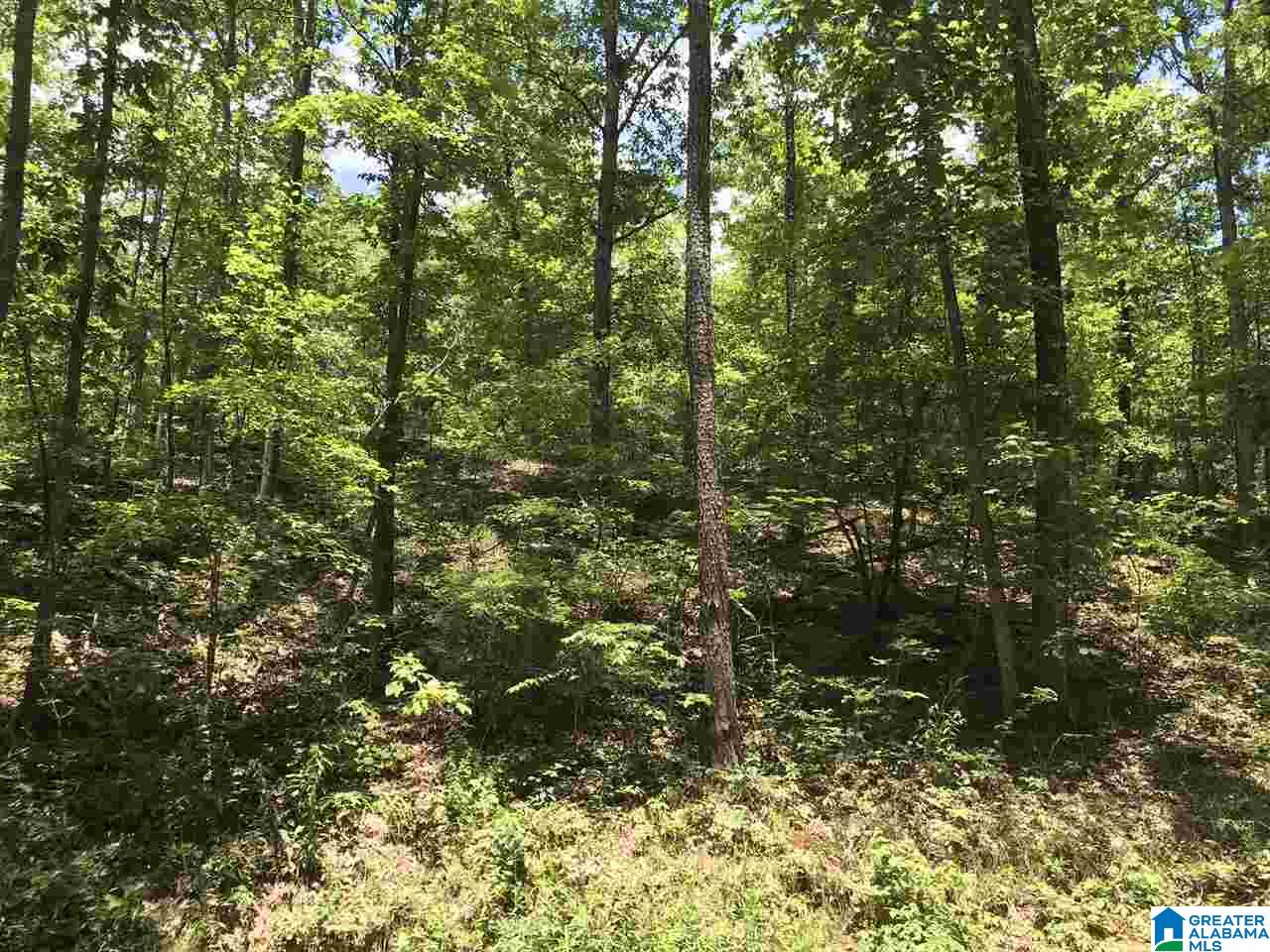 708 County Road, Unit 5 4 Verbena, AL 36091 - Photo 4 of 16