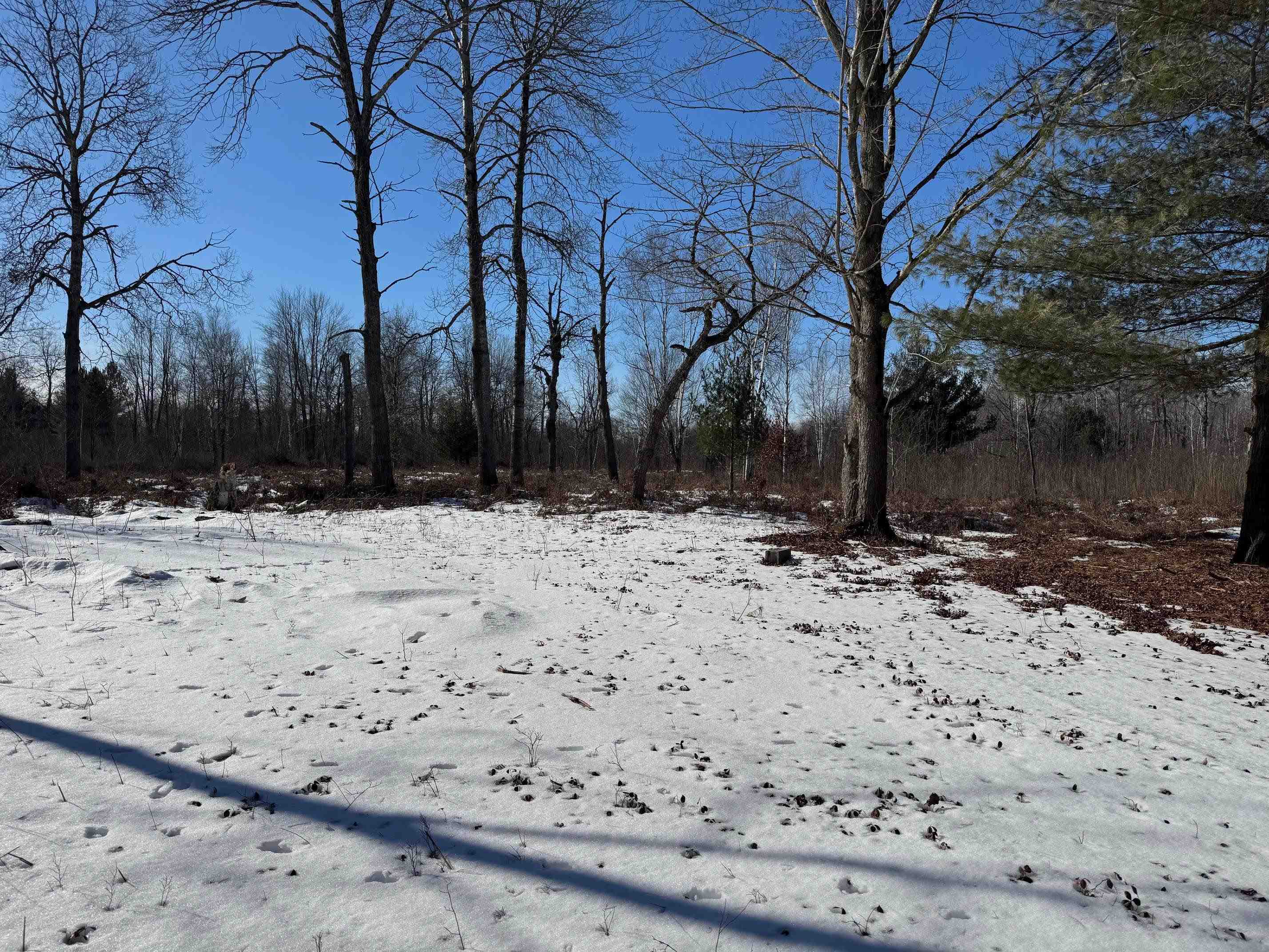 Tbd Hook Road Alger, MI 48610 - Photo 7 of 21