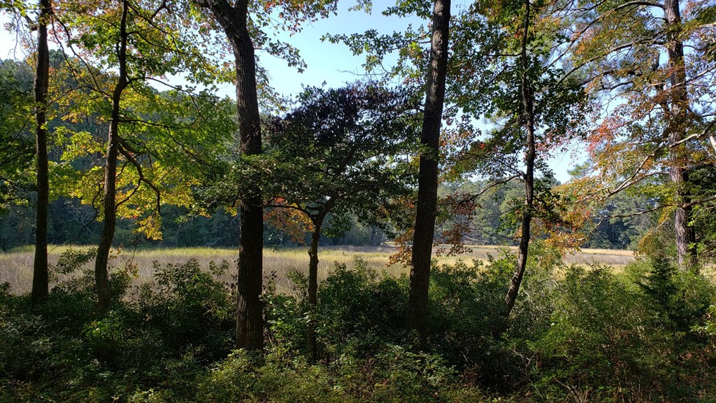 Lot 8 Wellington Neck Road, Unit 8 Franktown, VA 23354 - Photo 6 of 9