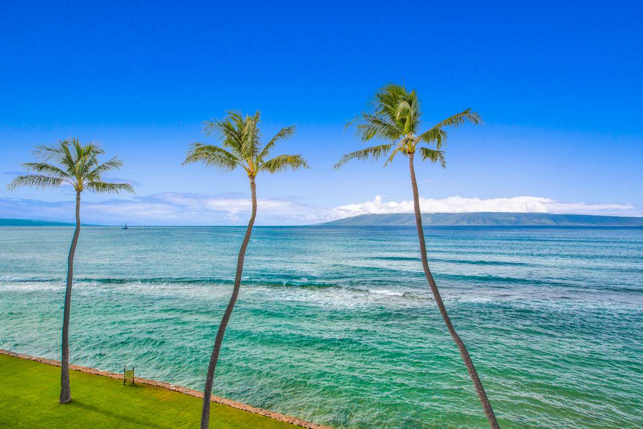 3543 Lower Honoapiilani Road, Unit F405 Lahaina, HI 96761 - Photo 20 of 30 a view of a garden with a slide