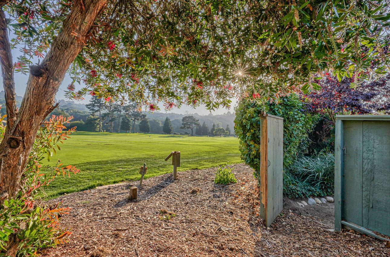 8022 River Place Carmel, CA 93923 - Photo 35 of 39 a view of a yard with a tree