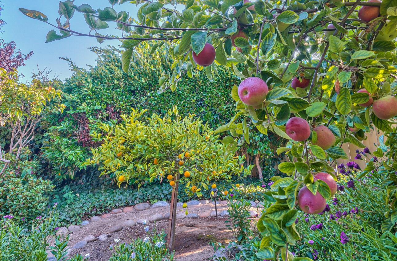 8022 River Place Carmel, CA 93923 - Photo 37 of 39 a view of a flower
