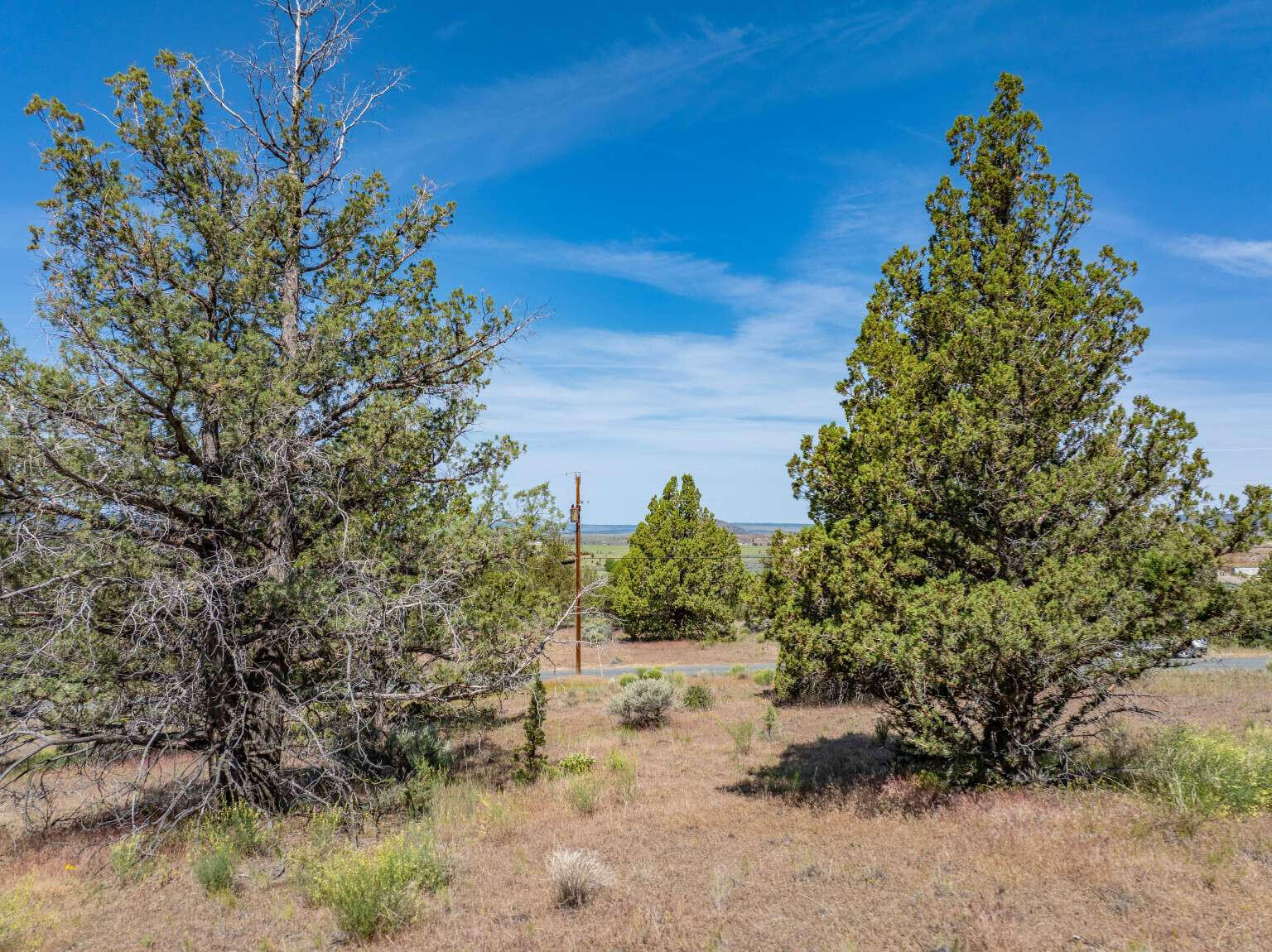 1167 Grande Road Alturas, CA 96101 - Photo 7 of 19 Dingman.7