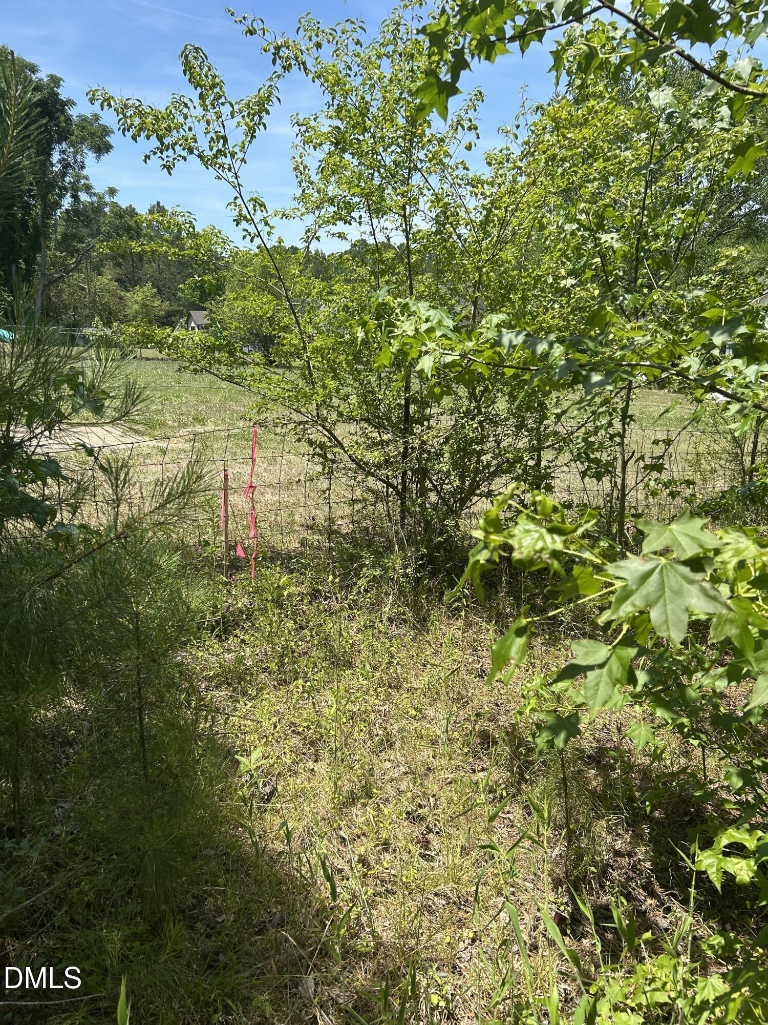 9731 Old Middlesex Road Middlesex, NC 27557 - Photo 4 of 7