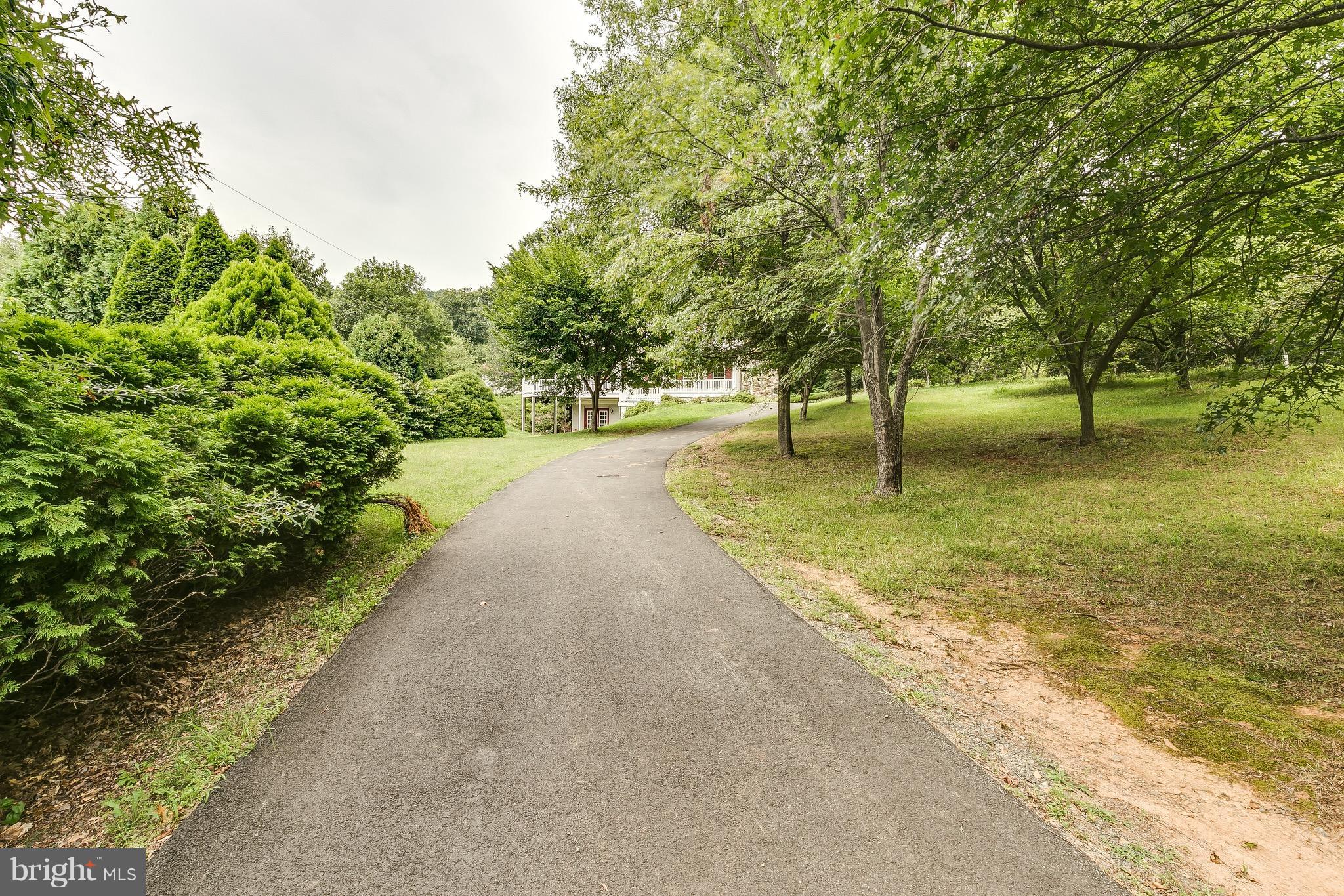 5382 Beverleys Mill Road Broad Run, VA 20137 - Photo 3 of 30 Long driveway with views of orchard and home