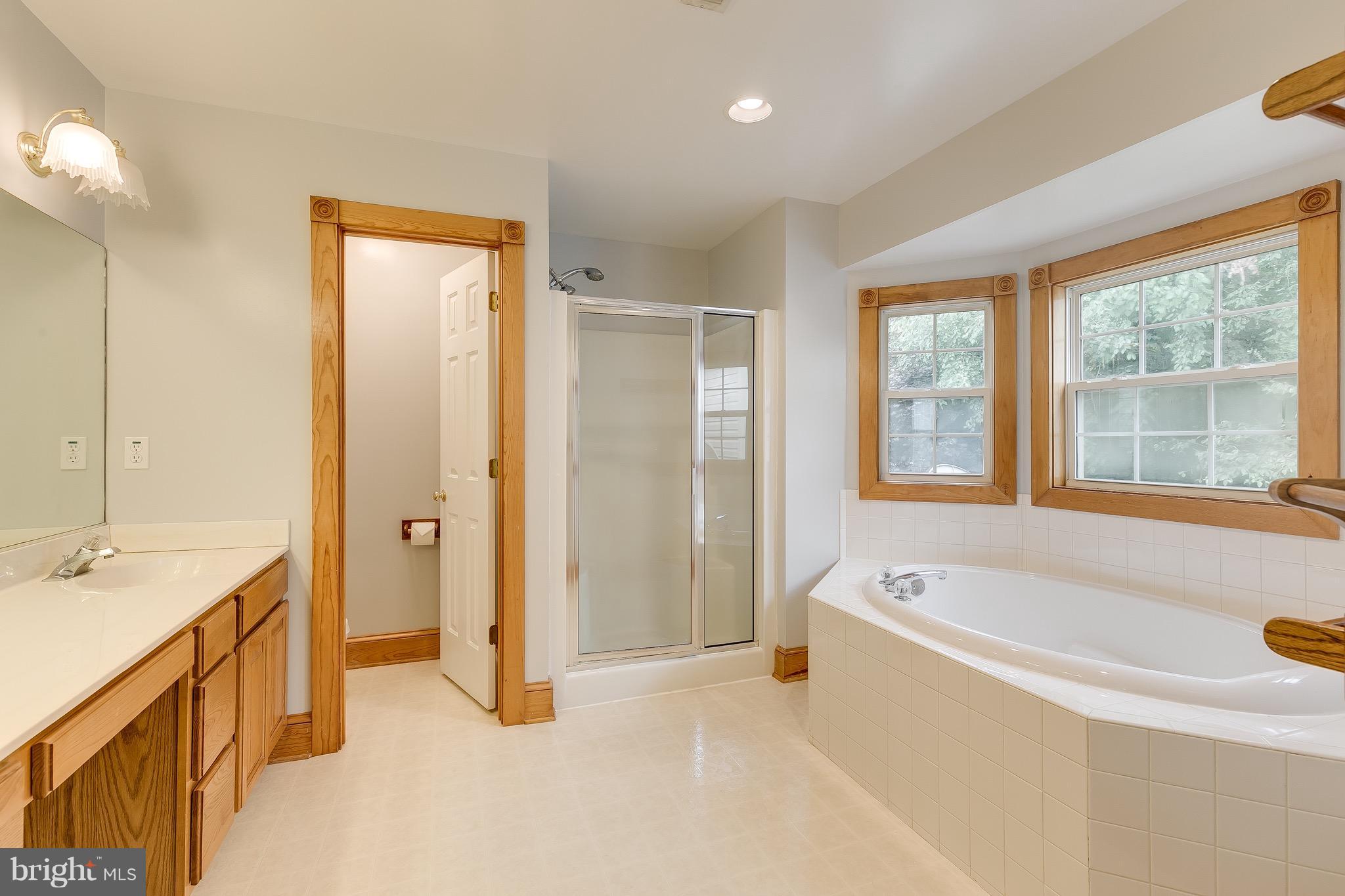 5382 Beverleys Mill Road Broad Run, VA 20137 - Photo 25 of 30 Bath (Master)