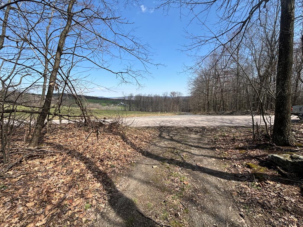 Grandview Road Hyndman, PA 15545 - Photo 16 of 22 Gallery Image 16
