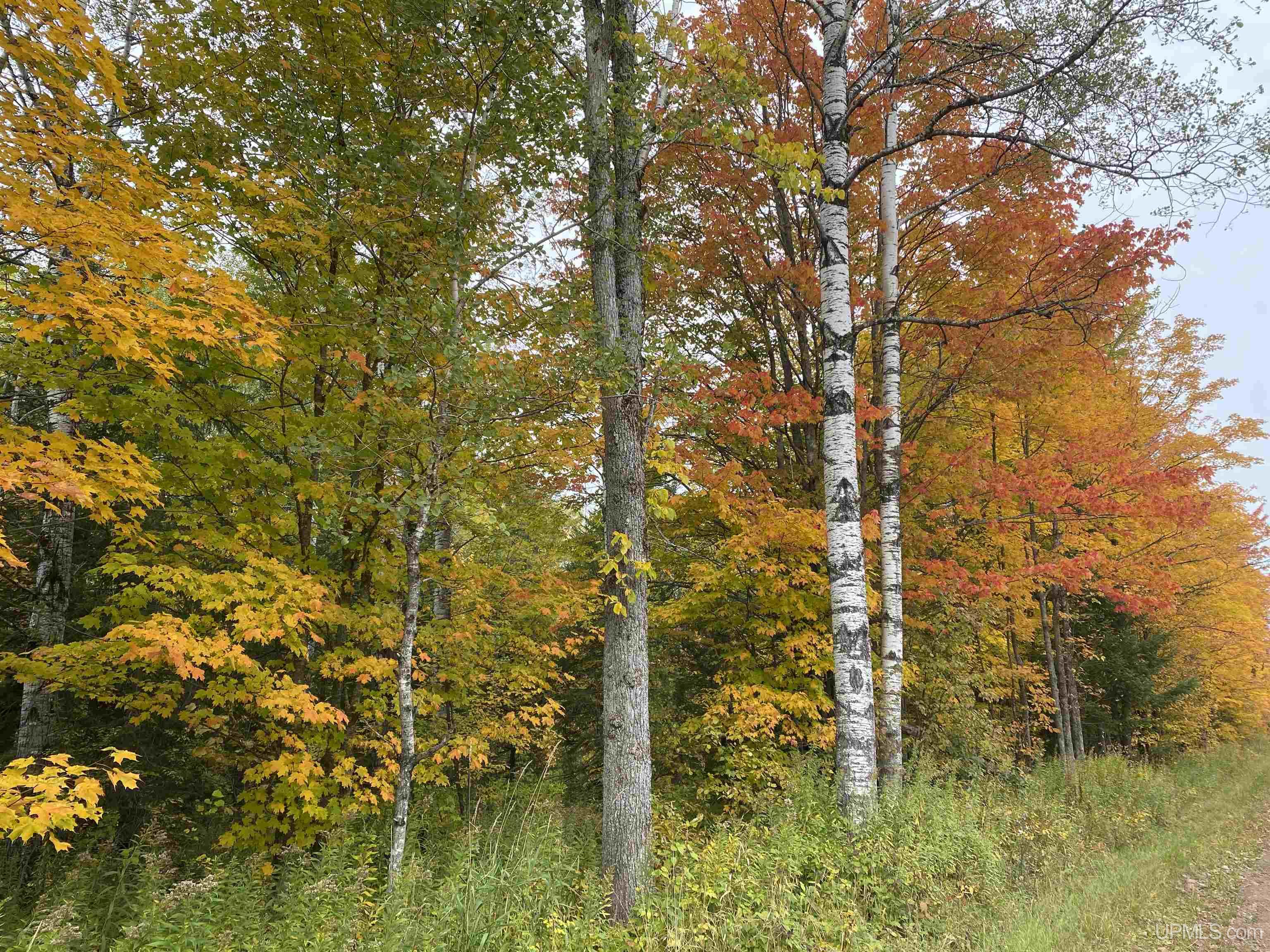 Tbd Tbd Heikkala Road Bessemer, MI 49911 - Photo 5 of 7