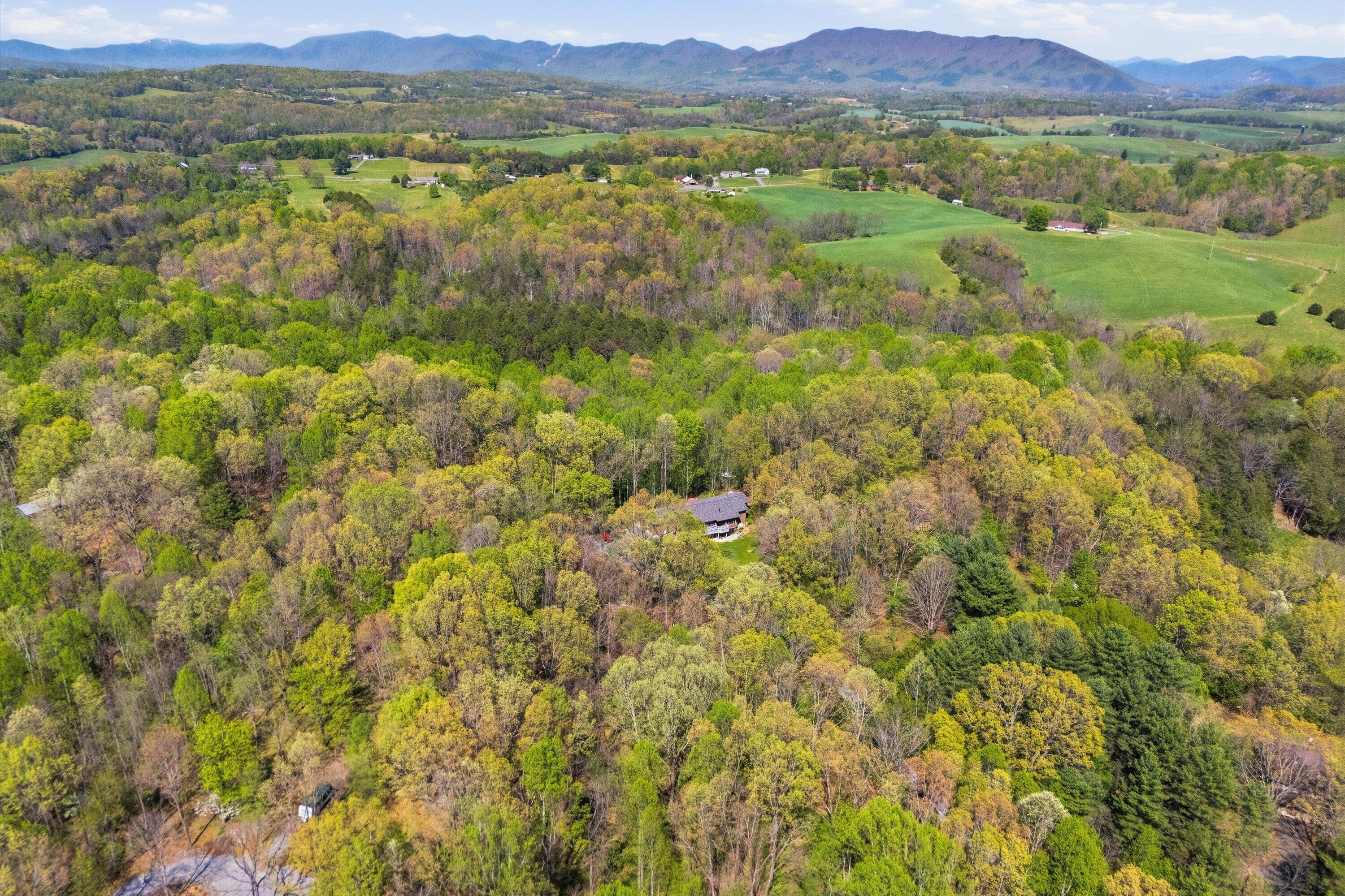 1124 Old Hollow Road Buchanan, VA 24066 - Photo 66 of 73 a view of a lush green hillside and houses