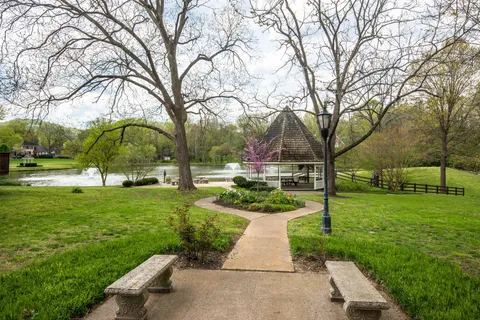 a view of a park with large trees