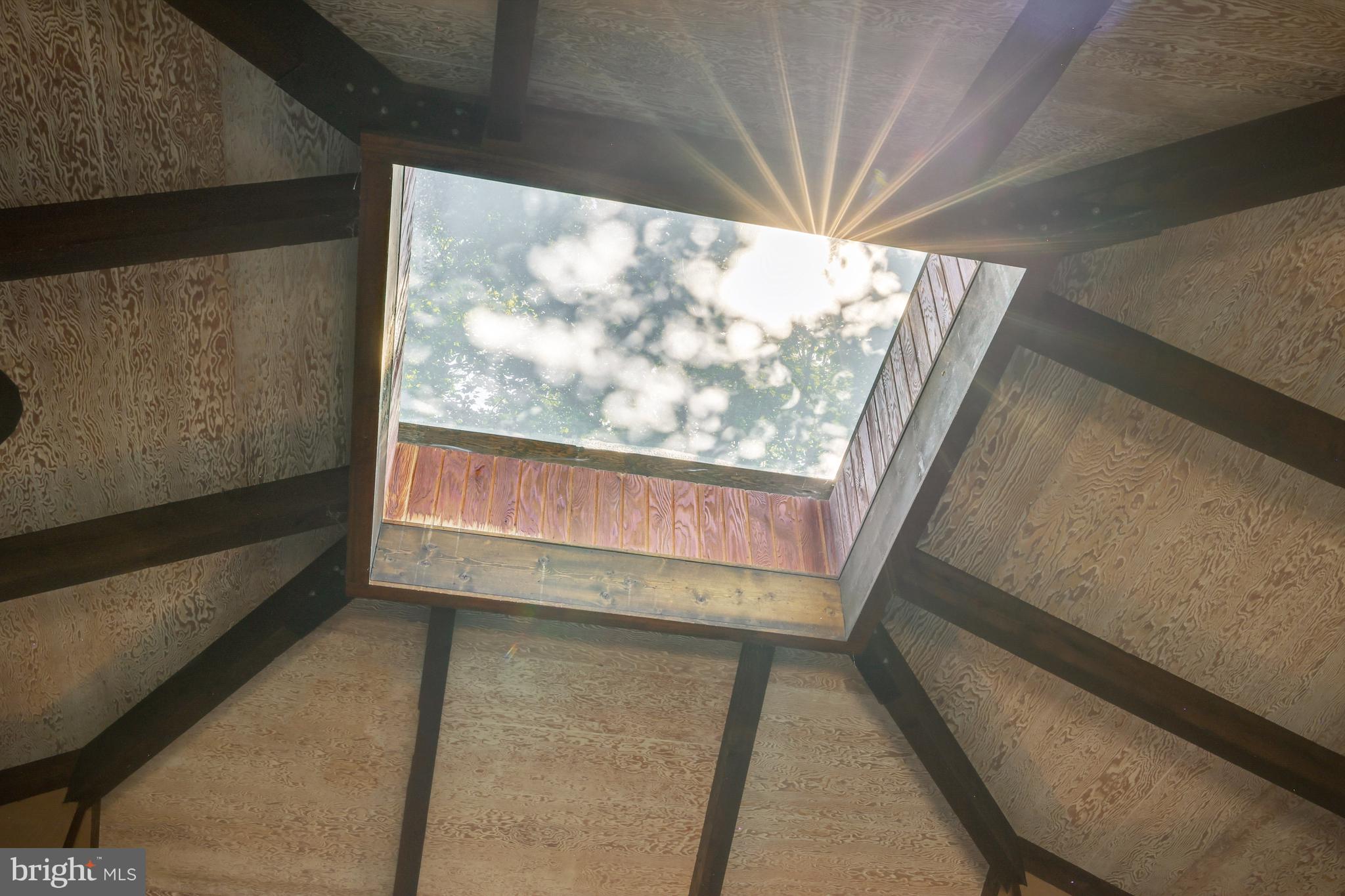 1417 Mountain Road Haymarket, VA 20169 - Photo 12 of 53 Cathedral Ceiling with Skylight