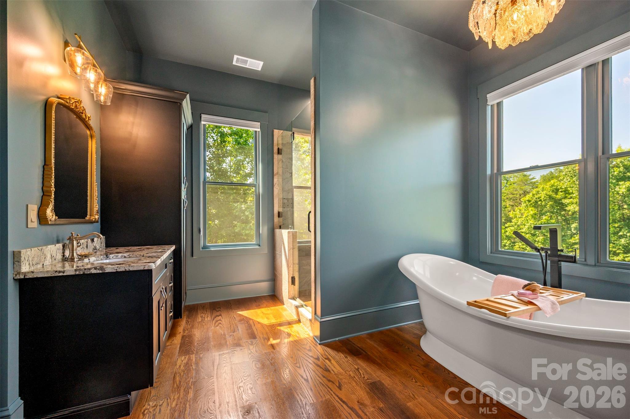 398 Mapleton Lane Columbus, NC 28722 - Photo 18 of 48