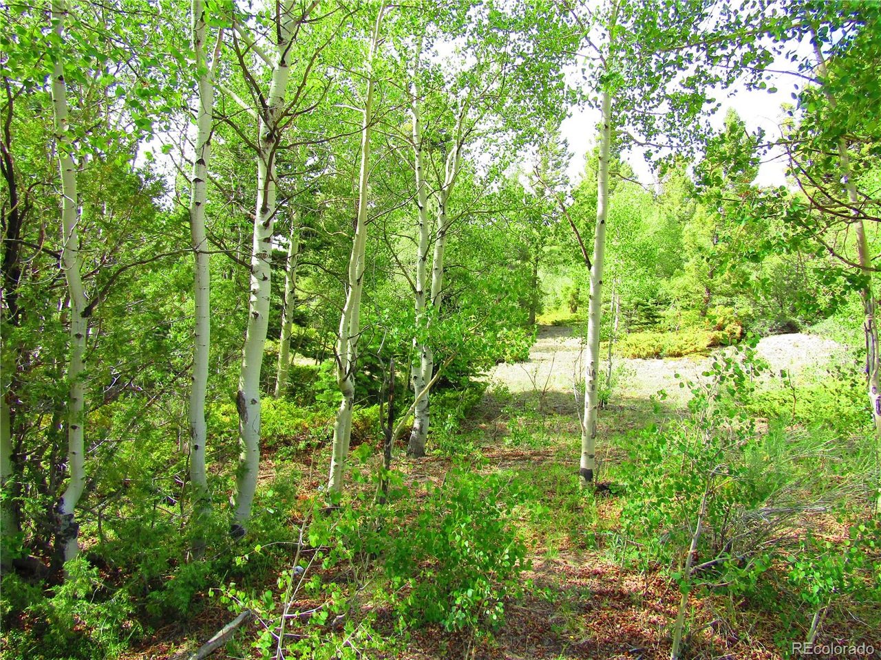 6093 Forbes Road San Luis, CO 81152 - Photo 10 of 14