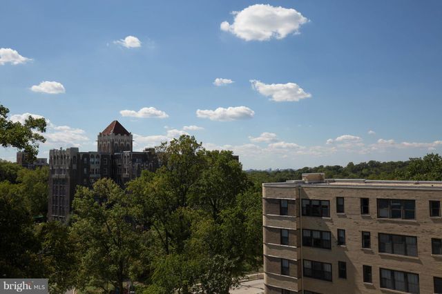 a view of a tree in a yard