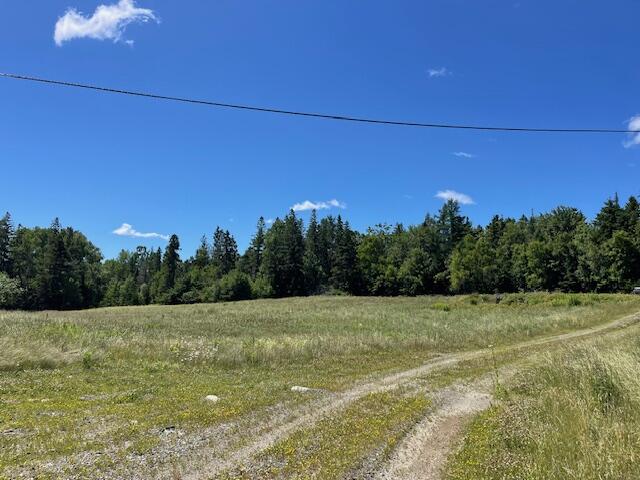 479 Old County Road Pembroke, ME 04666 - Photo 91 of 94 IMG_8940 (1)
