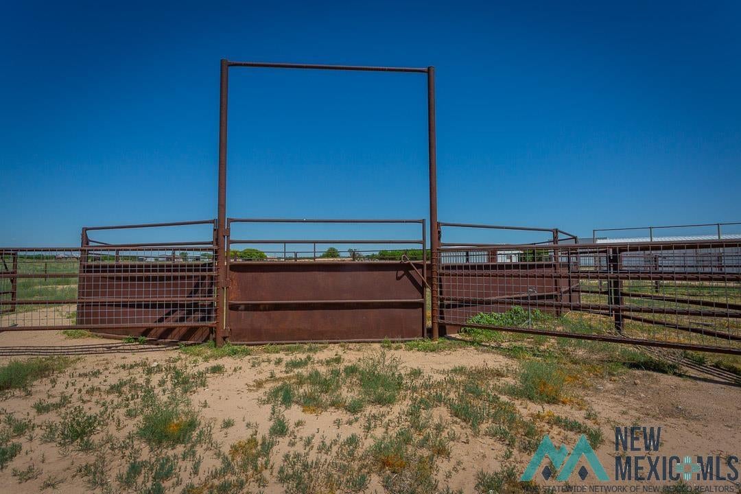 2012 South Haldeman Road Artesia, NM 88210 - Photo 60 of 96 Steel Round pen with a circular design and sorting gates