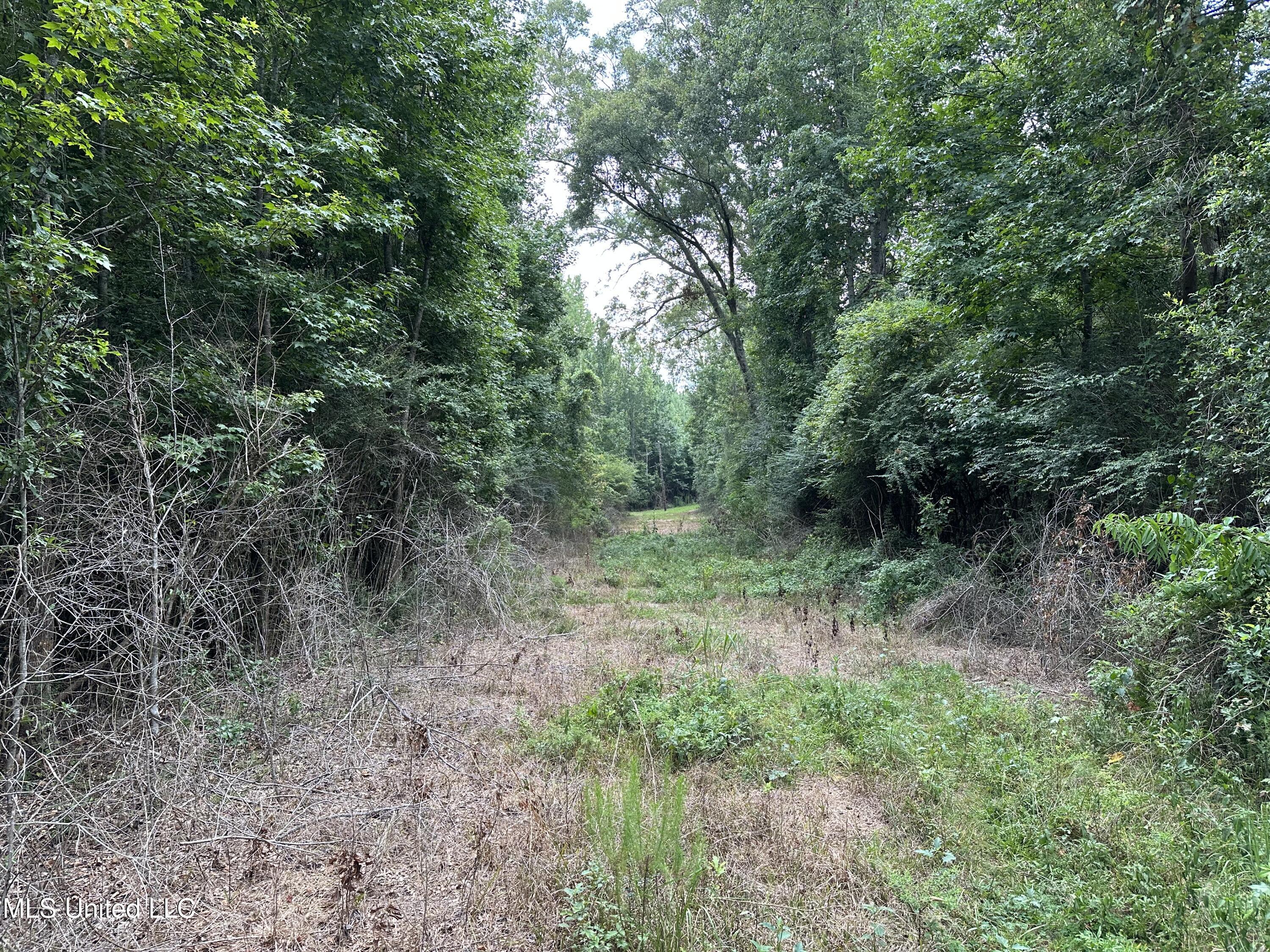 Stoval Ln Summit Summit, MS 39666 - Photo 3 of 5 commercial-land-for-sale-pike-county-ms