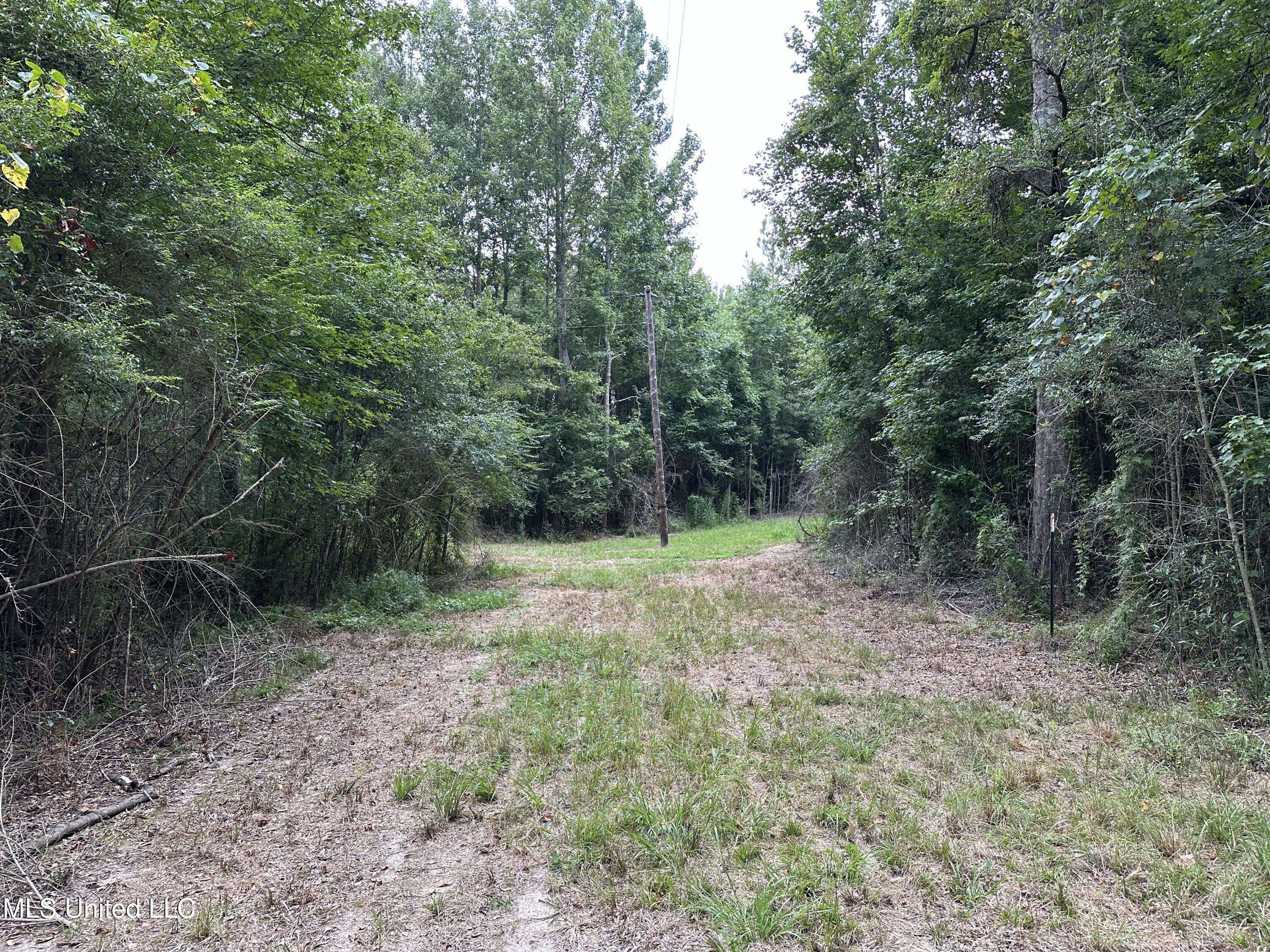 Stoval Ln Summit Summit, MS 39666 - Photo 4 of 5 commercial-land-for-sale-pike-county-ms