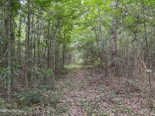 $142,500 | Stoval Ln Summit, Summit, MS 39666