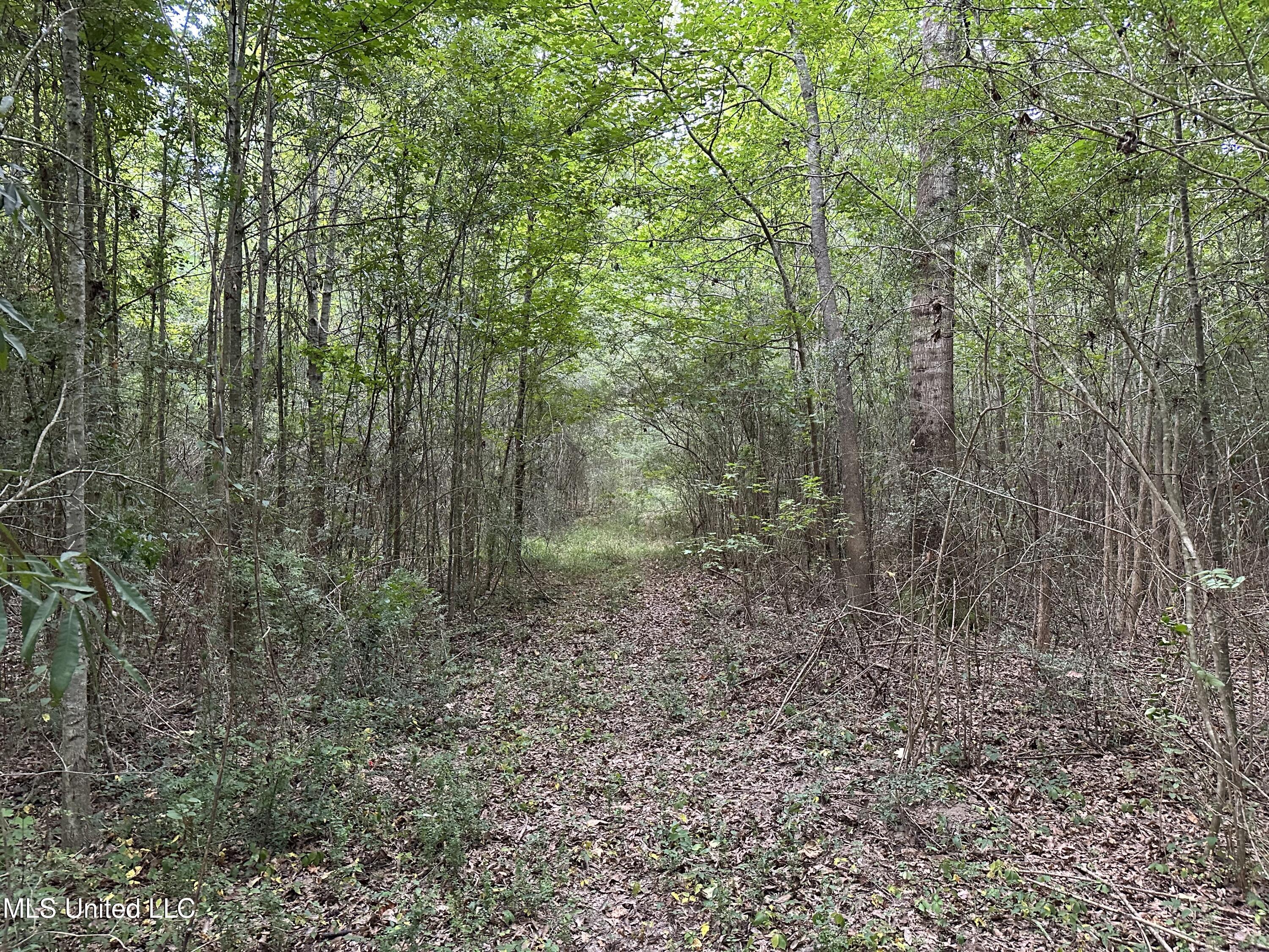 Stoval Ln Summit Summit, MS 39666 - Photo 5 of 5 commercial-land-for-sale-pike-county-ms