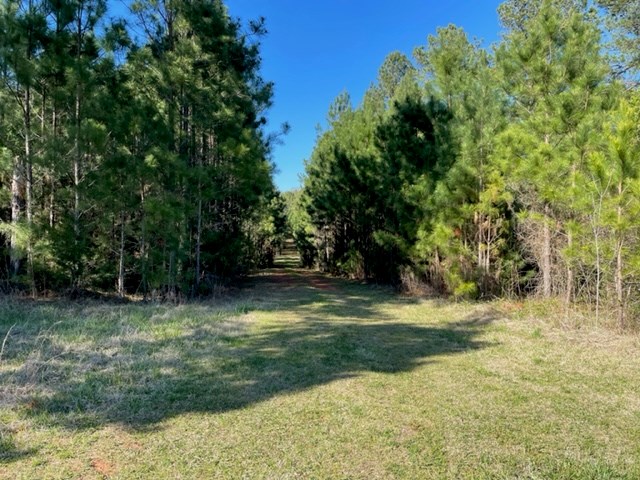 H H Road Greenwood, SC 29646 - Photo 3 of 6 Gallery Image 3