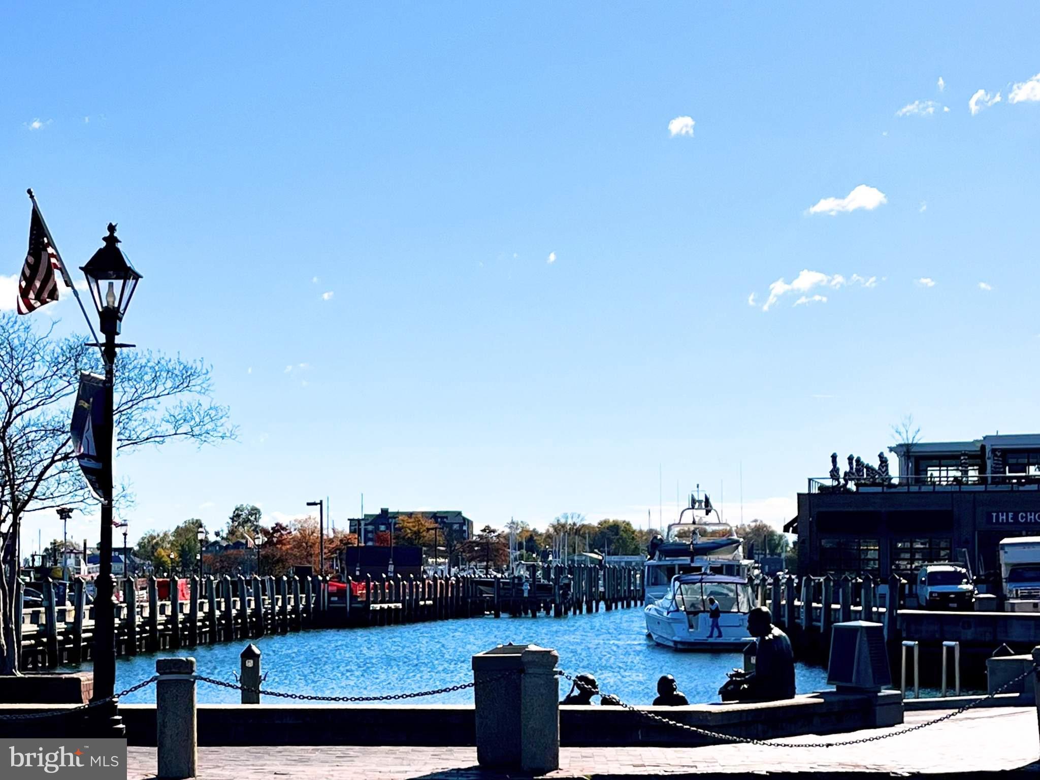 180 Main Street, Unit 202 Annapolis, MD 21401 - Photo 15 of 15 a view of a city