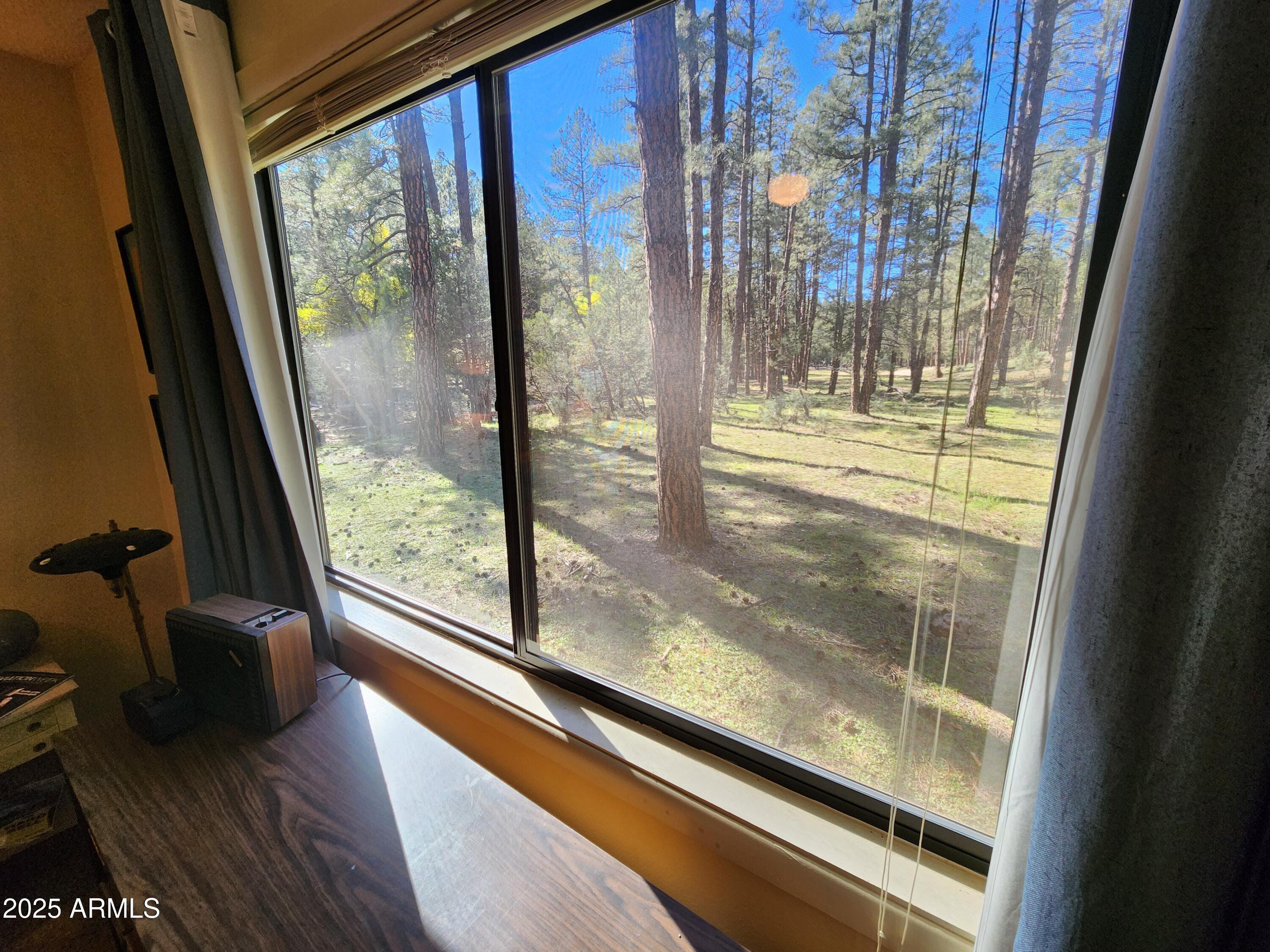 247 West Diamond Road Payson, AZ 85541 - Photo 20 of 42 a view of a room with wooden floor and door